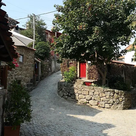 Casas Na Terra