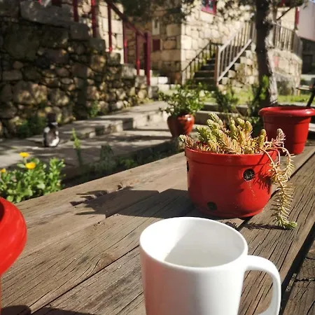 Σπίτι διακοπών Casas Na Terra Seia