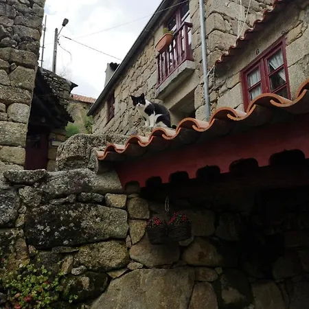 Σπίτι διακοπών Casas Na Terra Seia