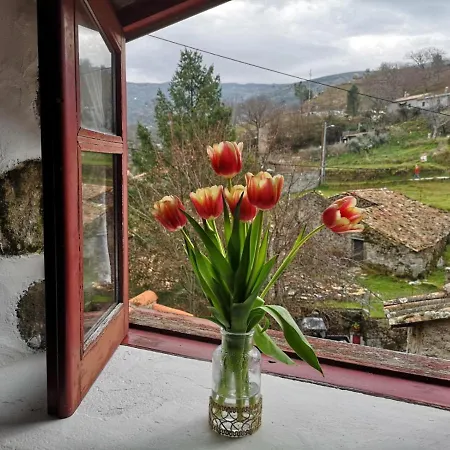 Casas Na Terra Holiday home *