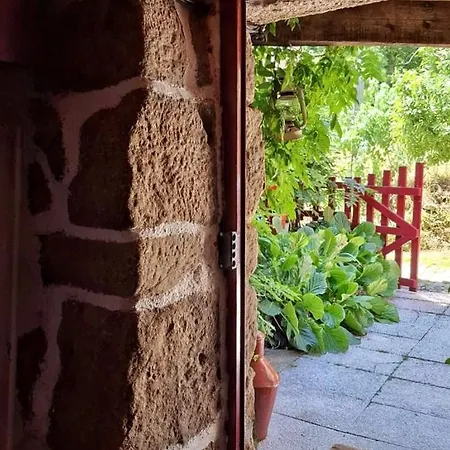 Casas Na Terra Seia
