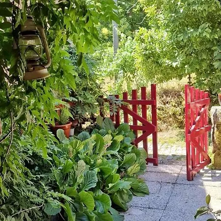 Casas Na Terra * Seia
