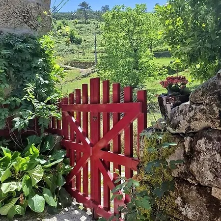 Holiday home Casas Na Terra