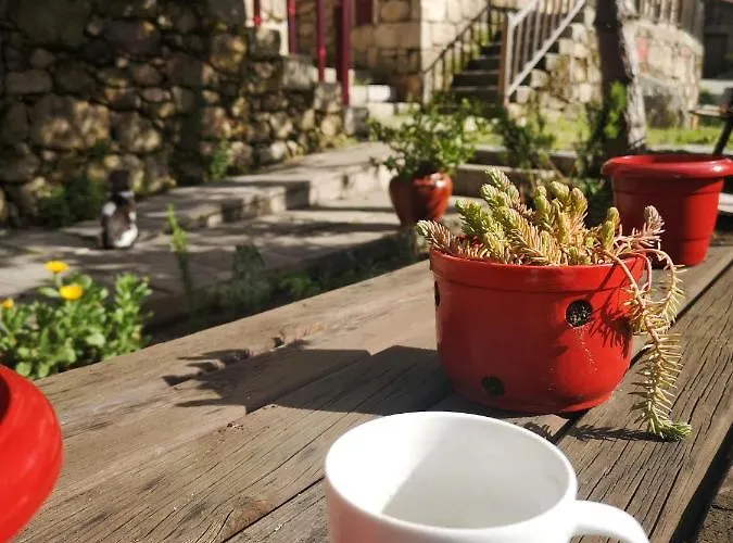 Vakantiehuis Casas Na Terra Seia