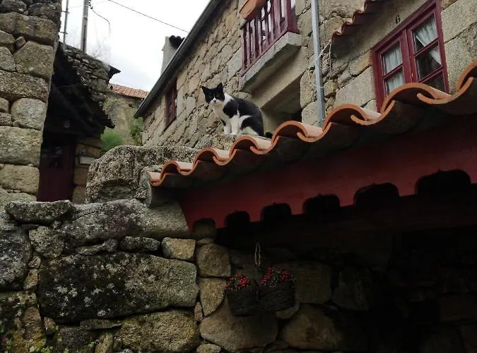 Vakantiehuis Casas Na Terra Seia